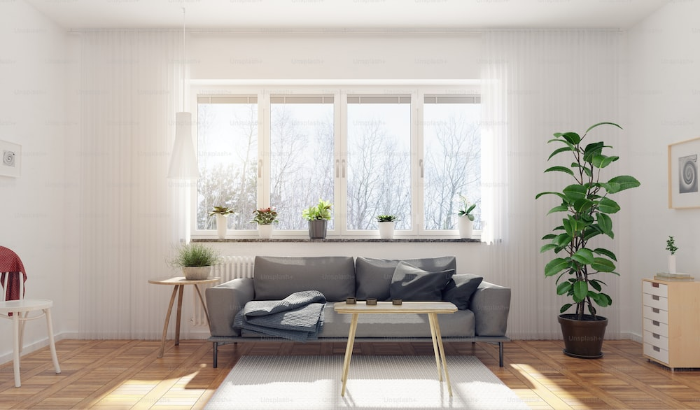 Factors to consider when choosing white blinds.